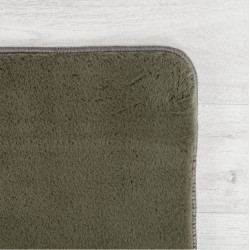 Washable Green Rug, Short Pile, Non-Slip and Soft, Modern Solid Color Design for Living Room, Bedroom