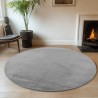 Washable Grey Rug, Short Pile, Non-Slip and Soft, Modern Solid Color Design for Living Room, Bedroom