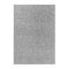 Tapis à poils courts, Couleur unique Gris clair, Tapis pour Salon, dos en Feutre