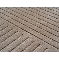 Tapis intérieur et extérieur Salon, chambre à coucher, Jardin d'hiver, Poil court Beige, Effet haut-bas, doux et lavable, facile