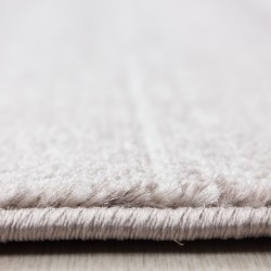 Short pile rug, Beige color, Living room rug, jute backing