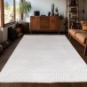 Tapis d'intérieur, 3D Design, Couleur crème, Tapis pour Salon, dos en polypropylène