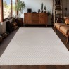 Tapis d'intérieur, 3D Design, Couleur Beige, Tapis pour Salon, dos en polypropylène
