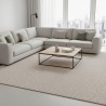 Flat woven indoor/outdoor rug with a durable textured pattern. Rug for living room, patio, or balcony.