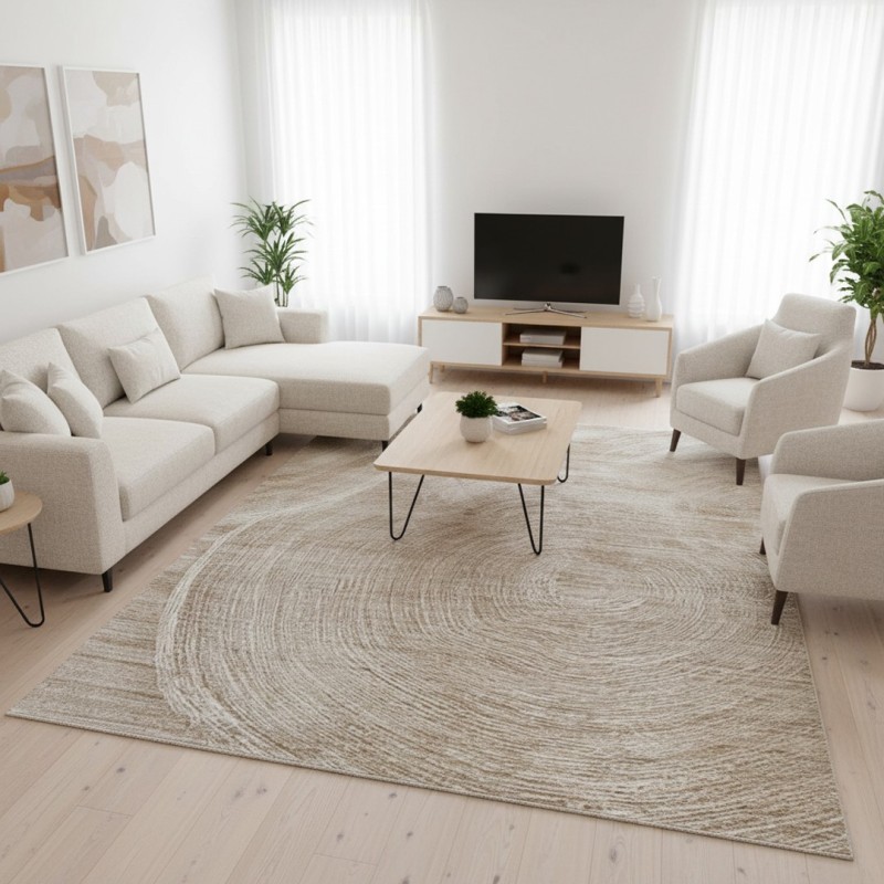 Modern abstract vloerkleed voor de woonkamer, artistiek ontwerp, zacht, duurzaam en gemakkelijk te onderhouden.