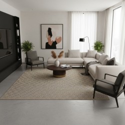 Plat geweven binnen-/buitenkleed met een natuurlijk geometrisch patroon, duurzaam en gemakkelijk te onderhouden.