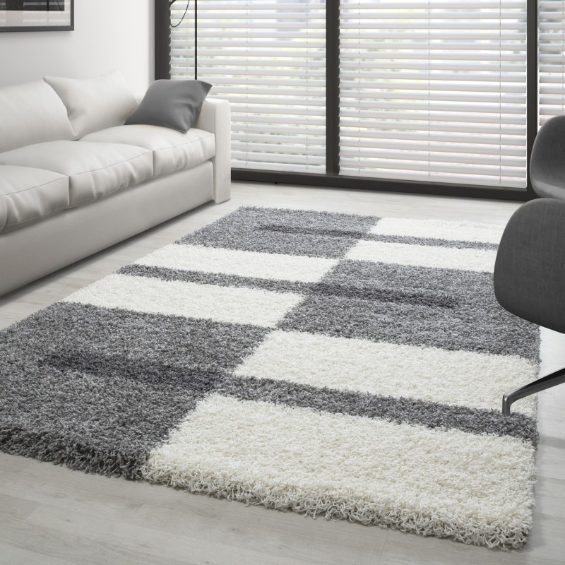 Tapis Gala Shaggy designe pile longue Gris-Blanc-Gris claire