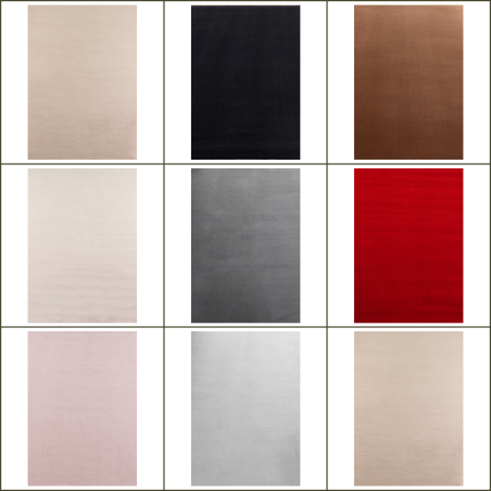 Tapis Salon à poils courts Couleur unique cuisine chambre antidérapant