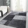 Modern Designer Rug Plus 8001 Black