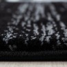 Tapis de salon moderne designe elegance Miami 6620 Noir-Blanc
