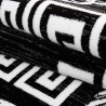 Tapis de salon moderne designe elegance Miami 6620 Noir-Blanc