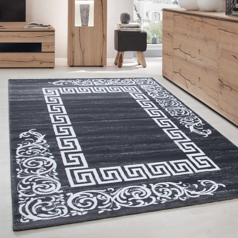 Alfombra de salón de diseño moderno, elegante Miami 6620 Gris-Blanco