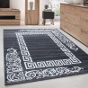 Modern designer living room rug, elegant Miami 6620 Grey-White