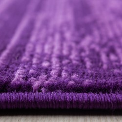 Tapis de salon ou jeunesse moderne designe courte pile Violet