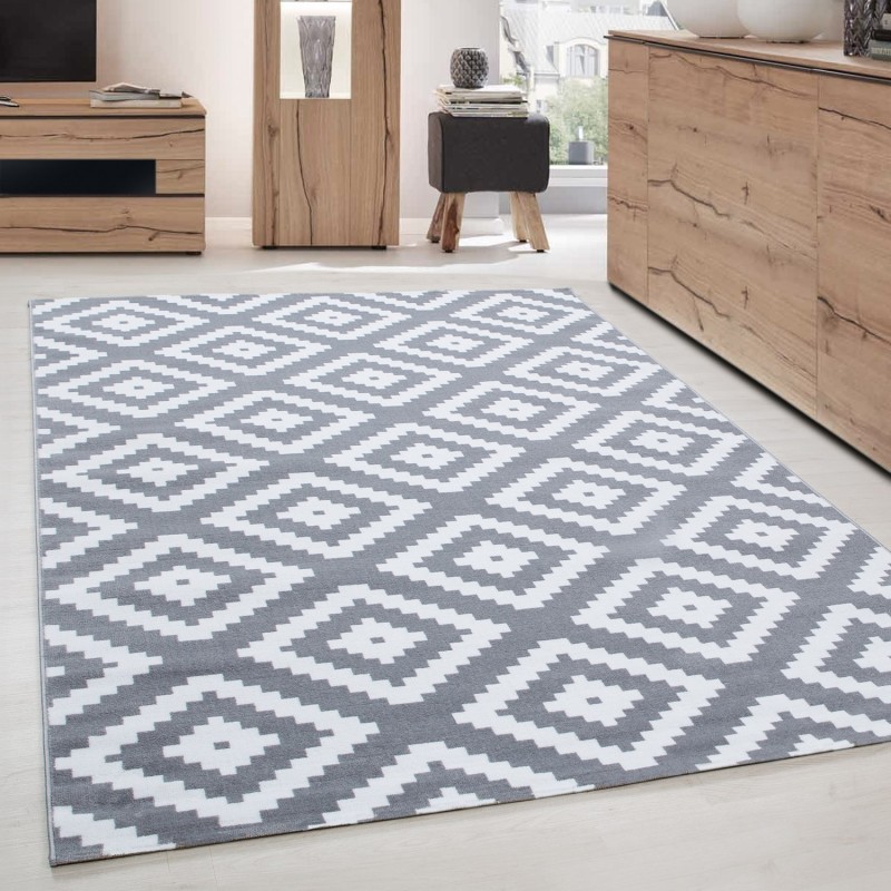 Tapis de salon moderne designe elegance courte pile Gris Blanc