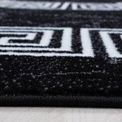 Modern Design Rug with Black and White Optical Marble Border Ornament