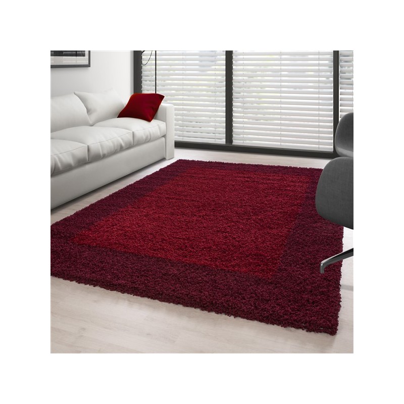 Shaggy rug with long pile, designer border, colors and sizes available.