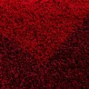 Shaggy rug with long pile, designer border, colors and sizes available.