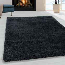 Tapis de salon Shaggy Agréable doux Tapis de chambre Anthracite
