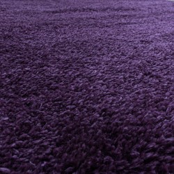 Shaggy Living Room Rug, Pleasantly Soft Bedroom Rug, Purple