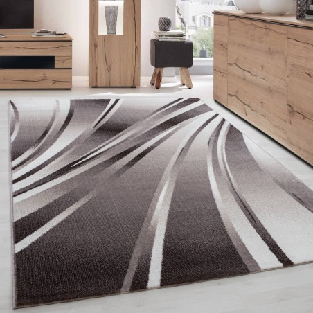 Alfombra de diseño moderno Parma 9210, marrón